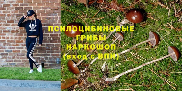 экстази Арсеньев