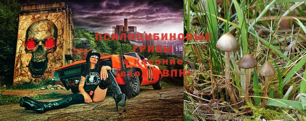 экстази Арсеньев
