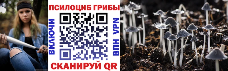 Псилоцибиновые грибы Psilocybe  купить наркотик  Нягань 